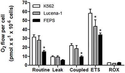 Metabolic Reprogramming During Multidrug Resistance in Leukemias